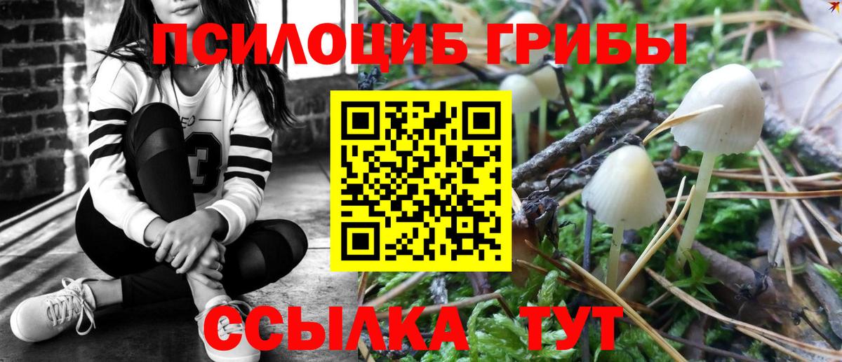 Псилоцибиновые грибы MAGIC MUSHROOMS Щёкино