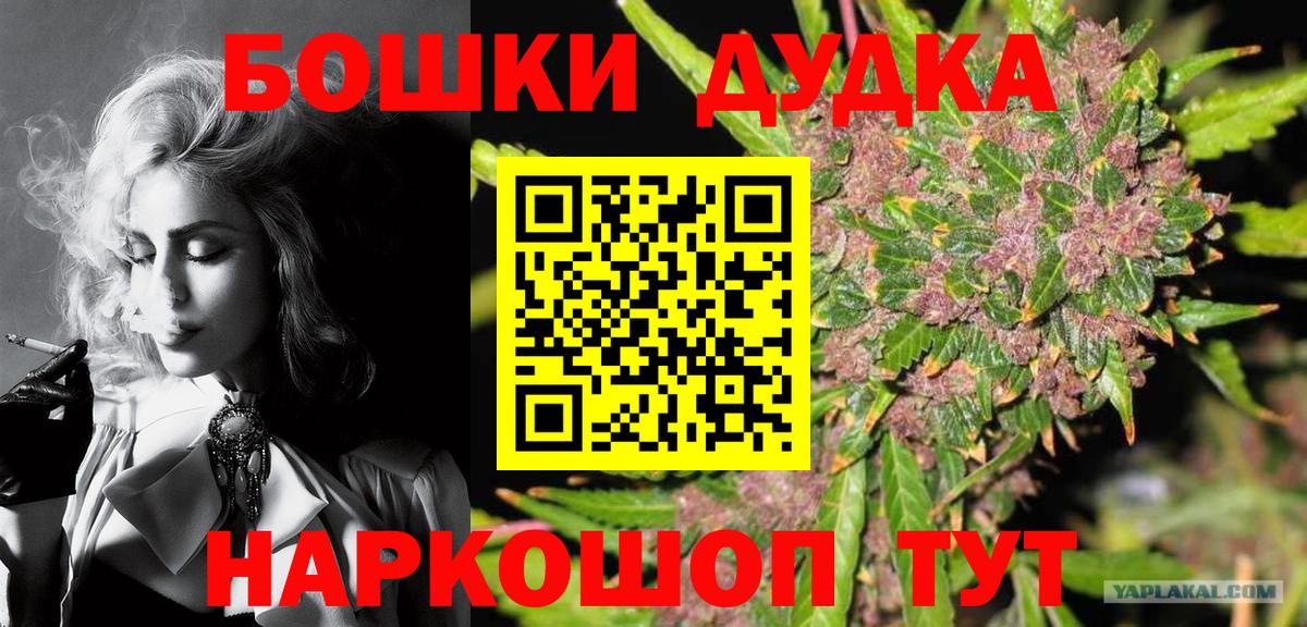 Канабис планчик Щёкино